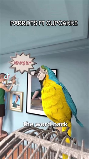 Parrots and Their Hilarious Cursing Habits