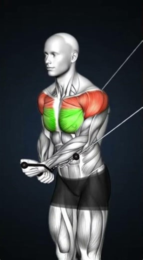 Pec Deck Setup WRONG? ❌ Fix Elbow Height for Chest