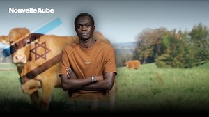 Les cinq vaches rousses en Israël: la prophétie de la vache rousse accomplie ? | Moyen-Orient