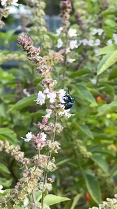 36K views · 1.3K reactions | It’s a life affirming event seeing...