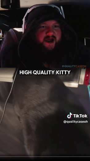 Kitty made an appearance on last night's stream.#caseoh#kitty#caseohclips #caseohfunnymoments #caseohfunnyclips