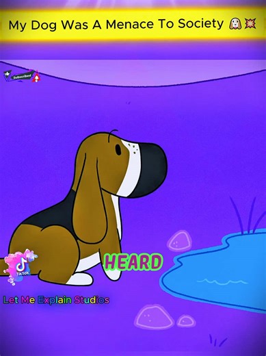 Basset Hound Shenanigans: Meet Charlie the Puppy