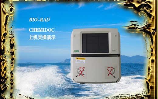 【生物实验】全新Bio-Rad Chemidoc凝胶成像仪上机实操