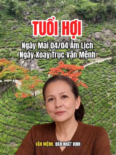 Người Tuổi Hợi ngày mai 04/04 âm lịch là ngày xoay trục vận mệnh bạn nhất định đừng bỏ lỡ #phongthuytailoc #tuvi12congiap #tuoihoi #cobaluanso