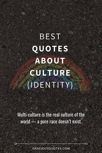 Top 38 Quotes About Culture (IDENTITY)