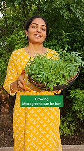 45K views · 2.1K reactions | Easy to grow at home - Microgreens...