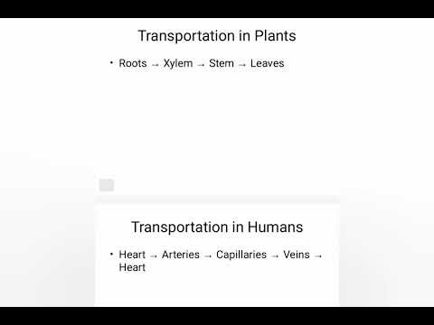 An overview of life processes