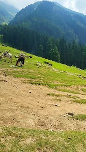 837K views · 10K reactions | Nature Explore on Reels | Facebook