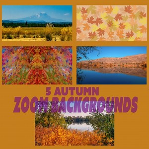 More Autumn Zoom Backgrounds - Etsy