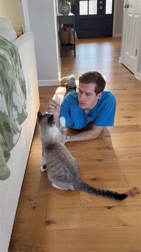 Gary has a problem | Cat Toy