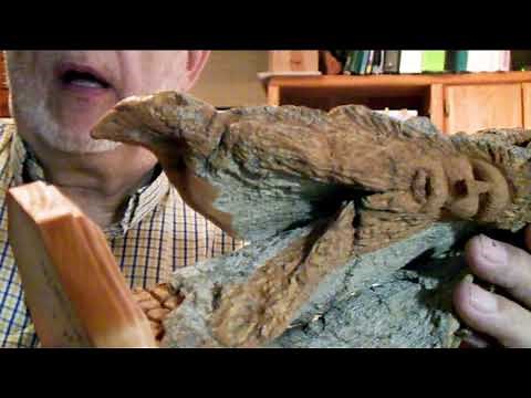 Cottonwood Bark Carving