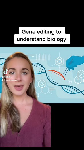 Understanding CRISPR: A Quick Introduction to Techniques