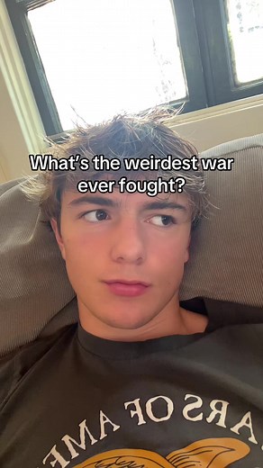 The Emu War: Australia's Bizarre Conflict of 1932