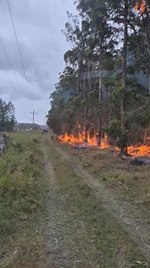 546K views · 1.8K reactions | Video of backburn Dungog members assisted with. | NSW RFS Dungog Brigade | Facebook