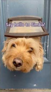 Simba’s giving you the tour of The Cypress at Martley Fields