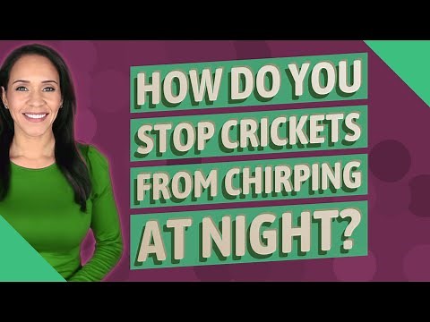 How do you stop crickets from chirping at night?