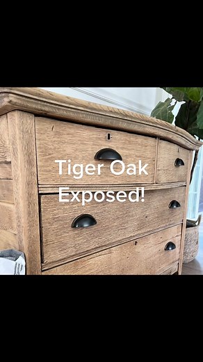 I sanded off all the old stain to expose this gorgeous tiger oak wood grain! #furniturerefinishing #refinishedfurniture #refinishedfurniturelove #tigeroak #rawwood