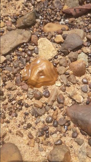 Rockhounding, Places to find rocks near me