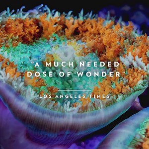 Dive deeper with #BluePlanet2 💙 Available to own today! | BBC Earth