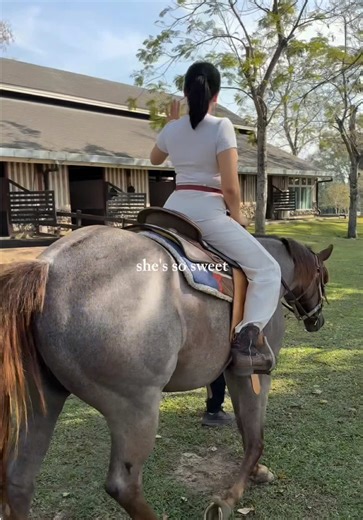 Exploring Collecting Hobbies: A Fun Lifestyle Journey