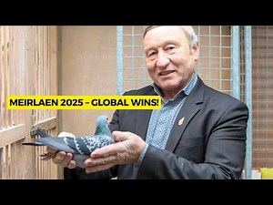 Etienne Meirlaen 2025: National & International Racing Pigeon Victories