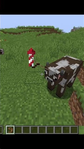Minecraft’s Most OP Leash Mod