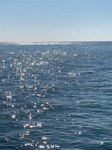 719 reactions · 102 shares | Visit Newport Beach on Reels | Facebook