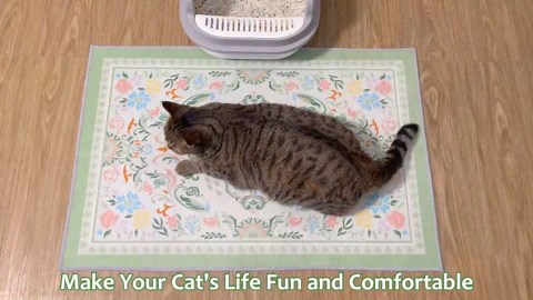 Washable Cat Litter Mat 48"x36" with Non-slip Bottom Waterproof Litter Box Mat Easy to Clean Litter Trapping Mat for Kitty