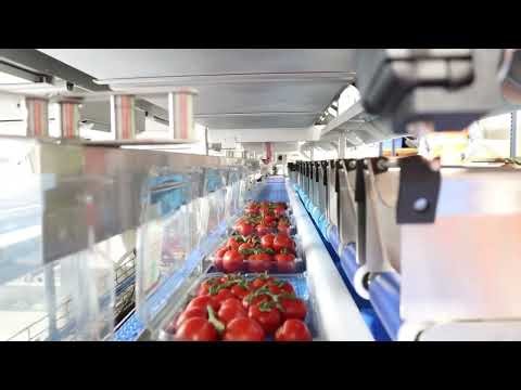 Tomatoes - Automatic Top Up Packing Line