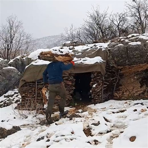 Building a Primitive Survival Shelter with My Dog | Winter Wilderness Bushcraft & Nature ASMR