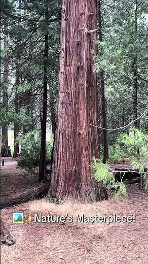 🌄 Yosemite National Park | Breathtaking Views & Unforgettable Nature 🏞️✨