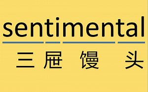 每日记单词sentimental