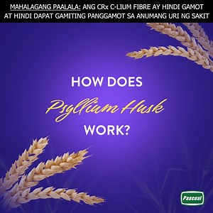 Ever wonder how psyllium gets things moving? 🌾 Let’s break down how a daily fiber habit can help you move regularly to help you slay daily. #GoOnceADayAndSlay ASC Ref. No. P0091P060325C | C-Lium Fibre