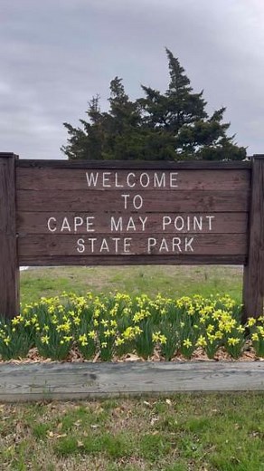 The Cape May Bird Observatory is a top spot for spotting rare birds, from majestic raptors to colorful warblers. 🔭🐦‍⬛ With guided walks, research programs, and unbeatable coastal views, it’s a must-visit for nature lovers. Get your birding on: https://ow.ly/4uSq50VzhBu #VisitNJ #AuthenticallyCharming #NJSouthernShore | Visit New Jersey