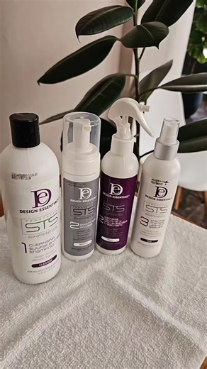 Introducing our new service: Design Essentials STS Express System ✨️✨️ An amino-acid Infused smoothing and thermal therapy system that temporarily straightens and smoothes frizzy, naturally curly hair, providing up to 12 weeks of intense smoothness and shine. It is safe for transitioning and chemically treated hair. #stssystembydesignessentials #smoothhair #silkpress #curlyhair #curlyhaircare #haircare