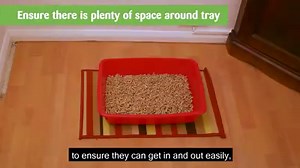 11K views · 265 reactions | There are a few things to bear in mind...