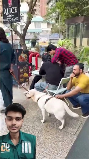 maza aa gaya 😂 #shorts #youtubeshorts #funny