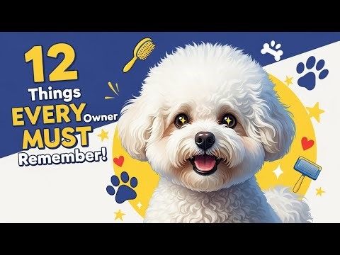 12 Things EVERY Bichon Frise Owner MUST Remember! 🐶✨
