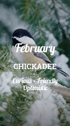 Your birth bird and what it says about you