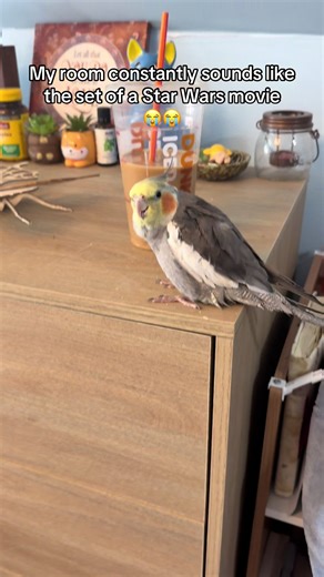 My Room Sounds Like a Star Wars Movie