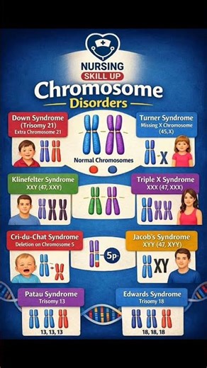 Chromosome Disorders ( Short & Simple Notes)
