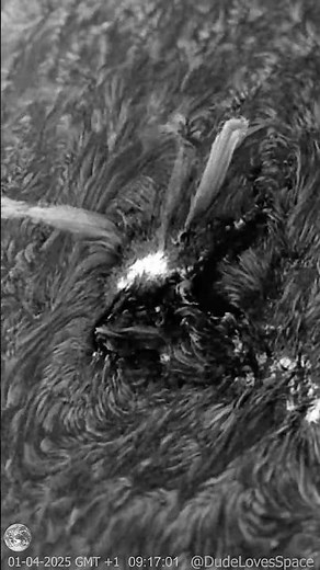 Huge Solar Spicules Coming From Sunspot - Captured With my Telescope #astronomy #space