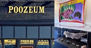 ‘The Poozeum’ in AZ: owner of world’s largest collection of fossilized poop opens a museum