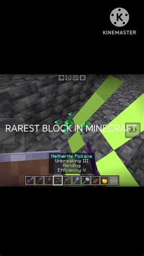RAREST BLOCK IN MINECRAFT