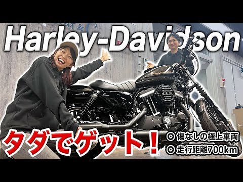 憧れの高級バイク、ハーレーダビットソンをタダでもらった！【バイク女子】