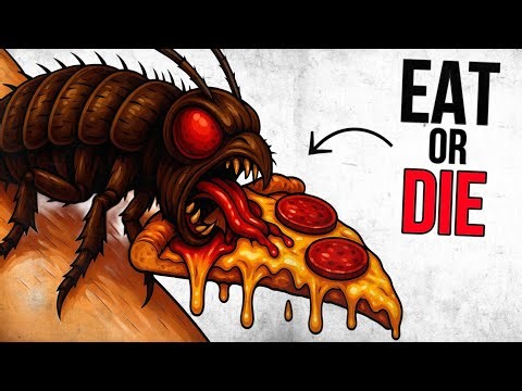 Why It Sucks to Be Born a Cockroach