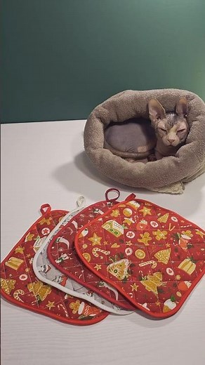 A DIY Christmas Pot Holder in Just One Evening! 🎄✨