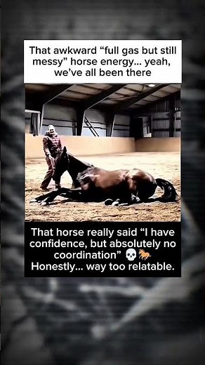 How horses deal with extra gas in their stomach? Simple… they release it the natural way