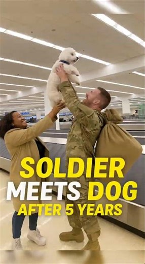 Emotional Soldier–Dog Reunion After 5 Years: The Tearful Moment No One Expected