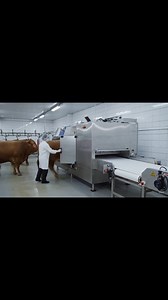 260K views · 1.2K reactions | Amazing Automatic Cow Processing Machine | Modern Meat Factory Technology #AutomaticMachine #MeatProcessing #ModernIndustry #IndustrialMachines #Automation #Engineering #FoodProcessing #FactoryTour #TechnologyVideo @topfans | BoroVhai | Facebook